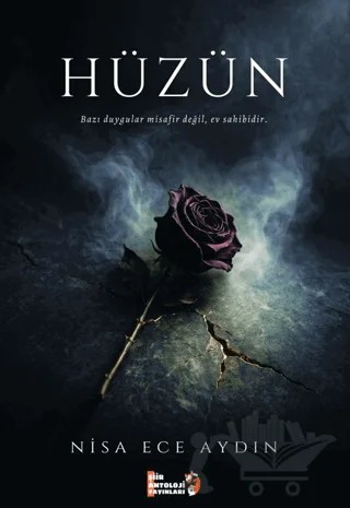 Hüzün – Nisa Ece Aydın – Şiir Antoloji Yayınları kitap kapağı