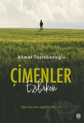 Çimenler Ezilirken – Ahmet Taştabanoğlu – Mask Yayınları kitap kapağı