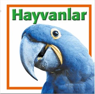 Hayvanlar – Derya Dinç – Koleksiyon Yayıncılık kitap kapağı