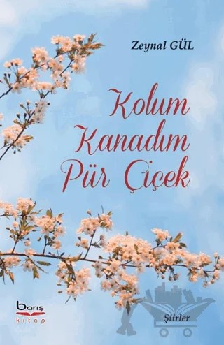 Kolum Kanadım Pür Çiçek – Zeynal Gül – Barış Kitap kitap kapağı