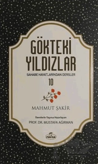 Gökteki Yıldızlar - 10 – Mahmut Şakir – Ravza Yayınları kitap kapağı