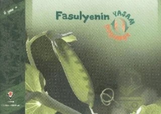 Fasulyenin Yaşam Döngüsü – David M. Schwartz – TÜBİTAK Yayınları kitap kapağı