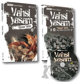 Vahşi Yaşam 2 - Uzman Türler – Amy-Jane Beer, Ken Preston – Boyut Yayın Grubu kitap kapağı