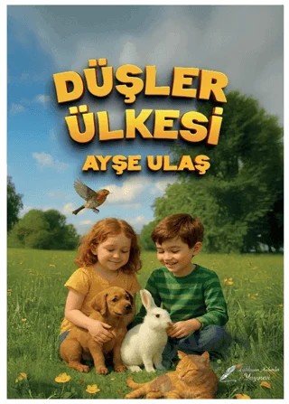 Düşler Ülkesi – Ayşe Ulaş – Fısıldayan Kalemler Yayınevi kitap kapağı