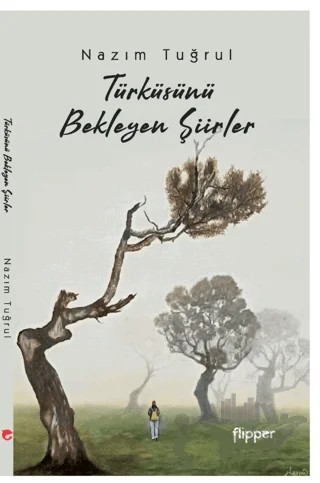 Türküsünü Bekleyen Şiirler – Nazım Tuğrul – Flipper Yayıncılık kitap kapağı