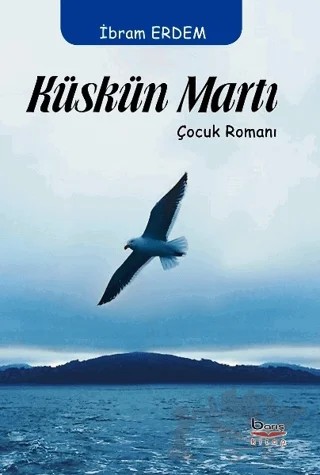 Küskün Martı – İbram Erdem – Barış Kitap kitap kapağı