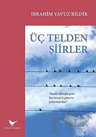 Üç Telden Şiirler – İbrahim Yavuz Bildik – Günce Yayınları kitap kapağı