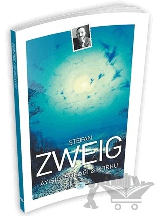 Ayışığı Sokağı - Korku – Stefan Zweıg – Maviçatı Yayınları kitap kapağı