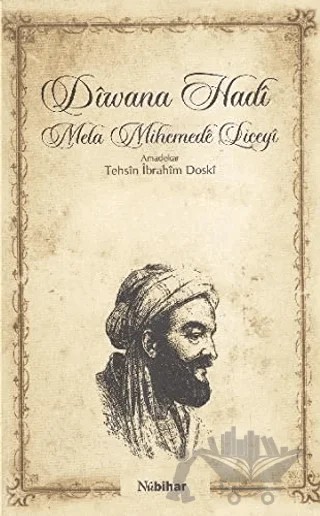 Diwana Hadi – Seyda Mela Hihemede Liceyi – Nubihar Yayınları kitap kapağı
