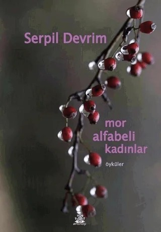 Mor Alfabeli Kadınlar – Serpil Devrim – Artshop Yayıncılık kitap kapağı