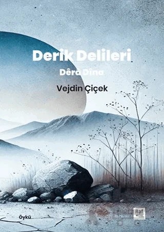 Derik Delileri – Vejdin Çiçek – Raf Kitap kitap kapağı