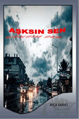 Aşksın Sen – Ayça Sarıcı – Serüven Yayınevi kitap kapağı