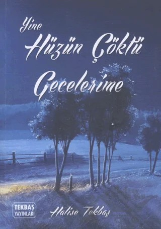 Yine Hüzün Çöktü Gecelerime – Hafize Tekbaş – Tekbaş Yayınları kitap kapağı