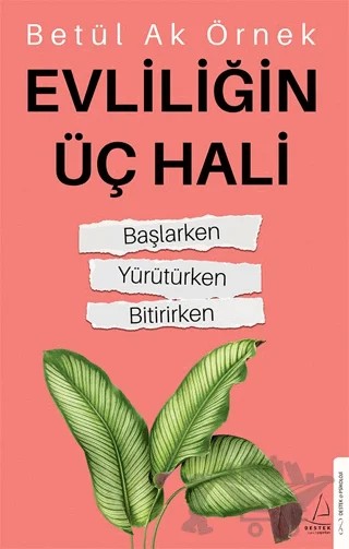 Evliliğin Üç Hali – Betül Ak Örnek – Destek Yayınları kitap kapağı