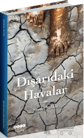 Dışarıdaki Havalar – Necdet Subaşı – Hece Yayınları kitap kapağı
