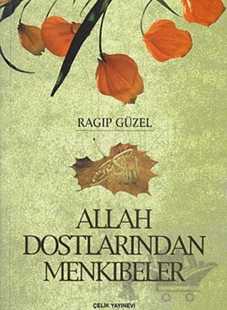 Allah Dostlarından Mekıbeler – Ragıp Güzel – Çelik Yayınevi kitap kapağı