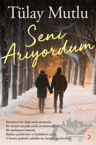 Seni Arıyordum – Tülay Mutlu – Cinius Yayınları kitap kapağı