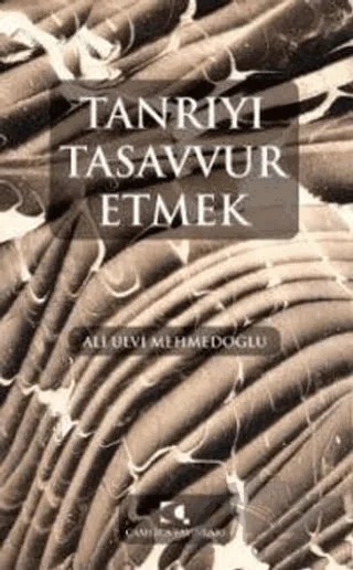 Tanrıyı Tasavvur Etmek – Ali Ulvi Mehmedoğlu – Çamlıca Yayınları kitap kapağı