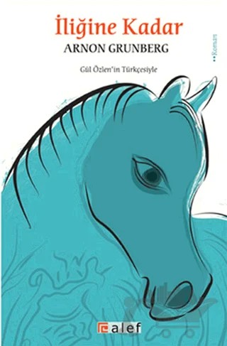 İliğine Kadar – Arnon Grünberg – Alef Yayınevi kitap kapağı