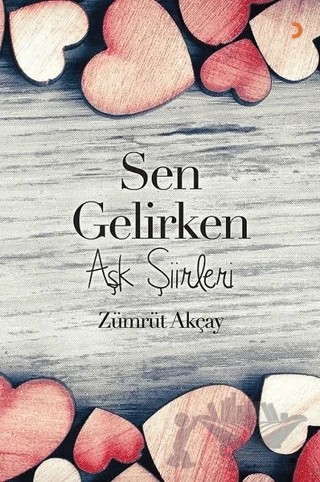 Sen Gelirken – Zümrüt Akçay – Cinius Yayınları kitap kapağı