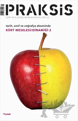 Praksis Sayı: 29 – Dipnot Yayınları kitap kapağı