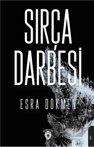 Sırça Darbesi – Esra Dökmen – Dorlion Yayınları kitap kapağı