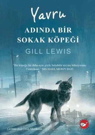 Yavru Adında Bir Sokak Köpeği – Gill Lewis – Beyaz Balina Yayınları kitap kapağı