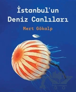 İstanbul'un Deniz Canlıları – Mert Gökalp – İBB Yayınları kitap kapağı