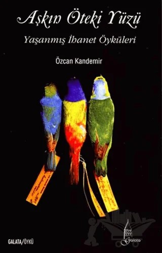 Aşkın Öteki Yüzü – Özcan Kandemir – Galata Yayıncılık kitap kapağı