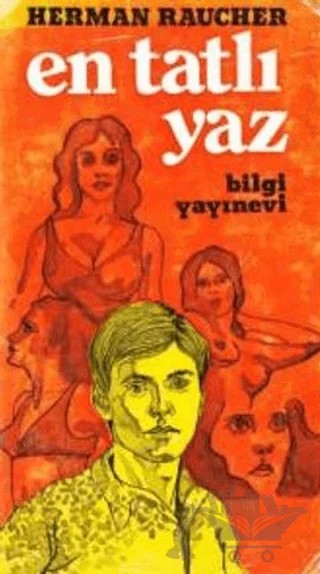 En Tatlı Yaz – Herman Raucher – Bilgi Yayınevi kitap kapağı
