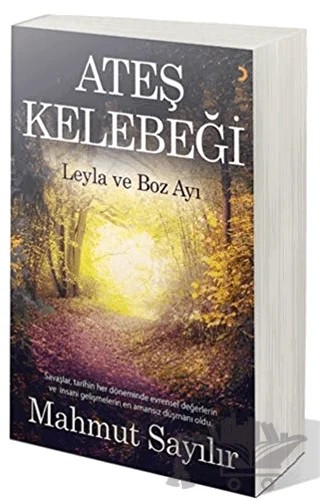 Ateş Kelebeği – Mahmut Sayılır – Cinius Yayınları kitap kapağı