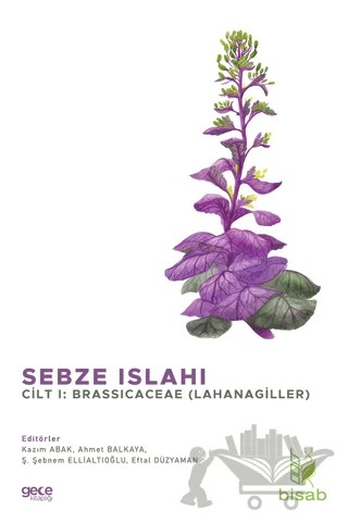 Sebze Islahı Cilt 1: Brassicaceae (Lahanagiller) – Ahmet Balkaya, Eftal Düzyaman, Kazım Abak, Ş. Şebnem Ellialtıoğlu – Gece Kitaplığı kitap kapağı