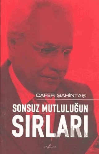 Sonsuz Mutluluğun Sırları – Cafer Şahintaş – Erguvan Yayınevi kitap kapağı