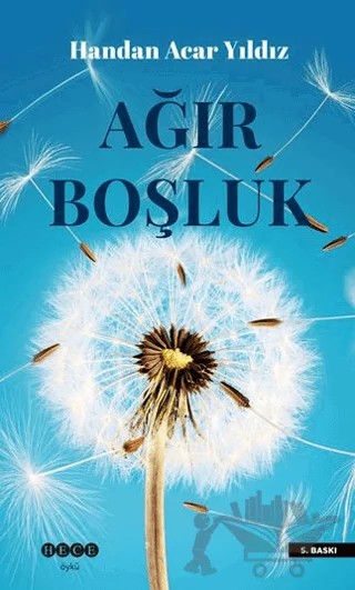 Ağır Boşluk – Handan Acar Yıldız – Hece Yayınları kitap kapağı