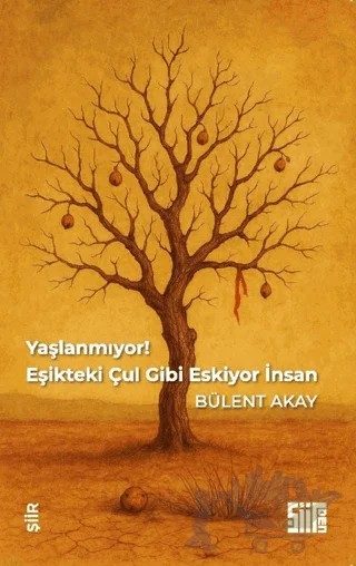 Yaşlanmıyor, Eşikteki Çul Gibi Eskiyor İnsan – Bülent Akay – Şiirden Yayıncılık kitap kapağı