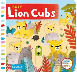 Busy Lion Cubs – Kolektif – Campbell kitap kapağı