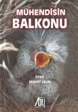 Mühendisin Balkonu – Şevket Çelik – Baygenç Yayıncılık kitap kapağı