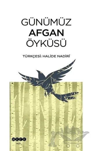 Günümüz Afgan Öyküsü – Kolektif – Hece Yayınları kitap kapağı