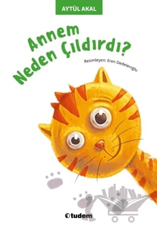 Annem Neden Çıldırdı – Aytül Akal – Tudem Yayınları kitap kapağı