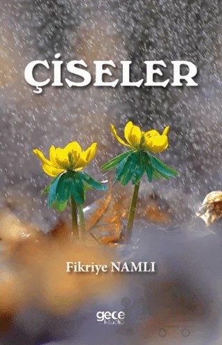 Çiseler – Fikriye Namlı – Gece Kitaplığı kitap kapağı