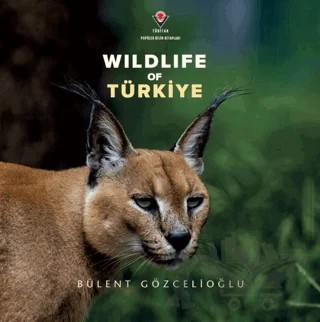 Wildife Of Türkiye – Bülent Gözcelioğlu – TÜBİTAK Yayınları kitap kapağı
