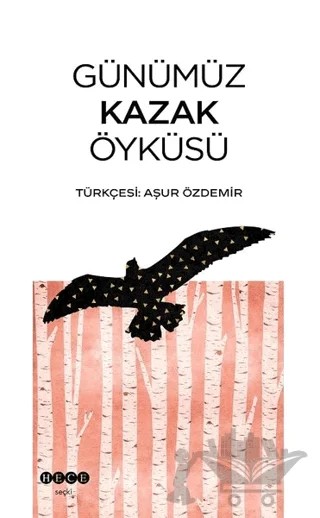 Günümüz Kazak Öyküsü – Kolektif – Hece Yayınları kitap kapağı
