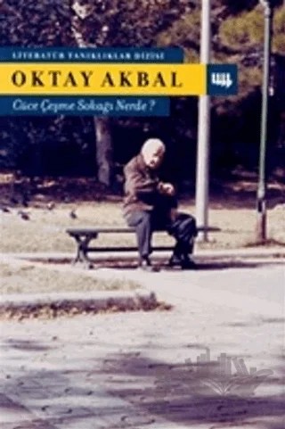 Cüce Çeşme Sokağı Nerde? – Oktay Akbal – Literatür Yayıncılık kitap kapağı