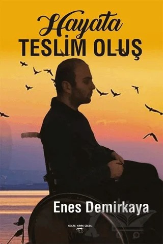 Hayata Teslim Oluş – Enes Demirkaya – Sokak Kitapları Yayınları kitap kapağı