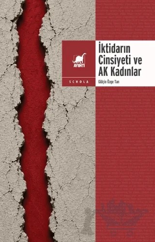 İktidarın Cinsiyeti ve Ak Kadınlar – Gülçin Özge Tan – Ayrıntı Yayınları kitap kapağı