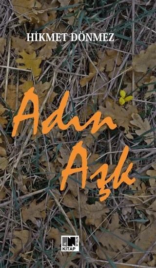 Adın Aşk – Hikmet Dönmez – Nitelik Kitap kitap kapağı