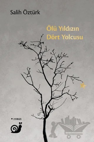 Ölü Yıldızın Dört Yolcusu – Salih Öztürk – Sakin Kitap kitap kapağı