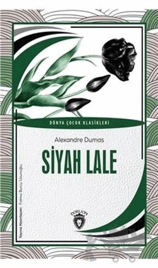 Siyah Lale – Alexandre Dumas – Dorlion Yayınları kitap kapağı