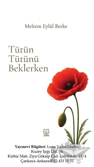 Tütün Tütünü Beklerken – Meltem Eylül Berke – Luna Yayınları kitap kapağı