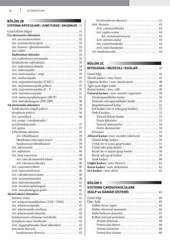 Çekirdek Eğitim Programı Çerçevesinde Temel İnsan Anatomisi 2.Baskı – Prof. Dr. Mehmet Yıldırım – Nobel Tıp Kitabevleri kitap kapağı